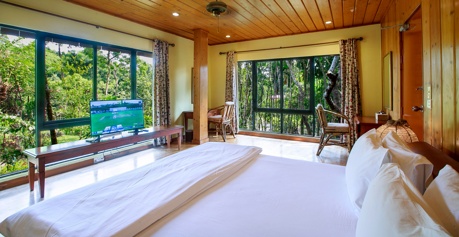 Tree Top Suite