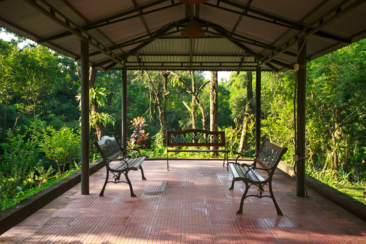 Nazimgarh Wilderness